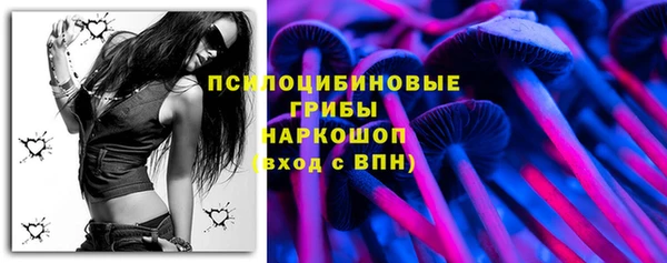 не бодяженный Осташков