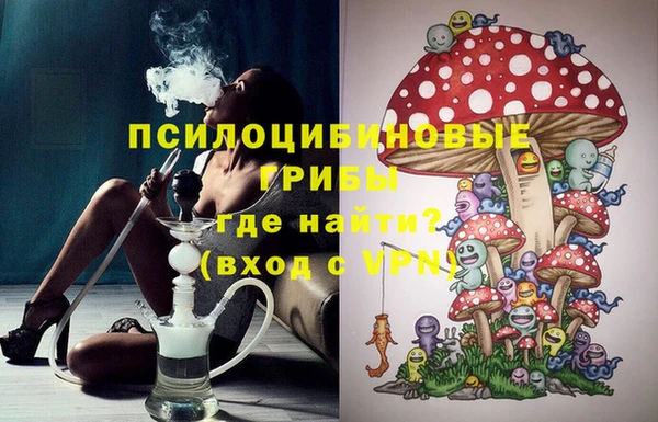 не бодяженный Осташков