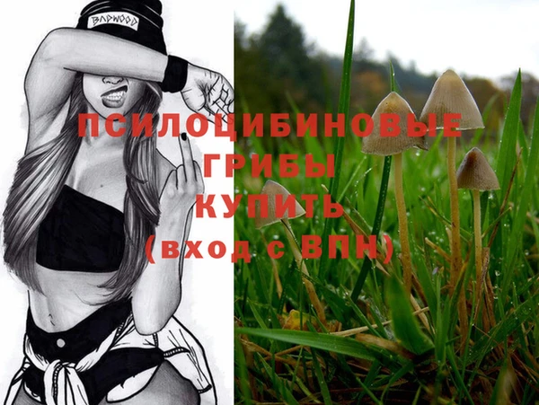 альфа пвп Осинники