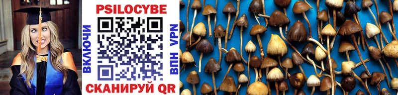Псилоцибиновые грибы Magic Shrooms Солигалич